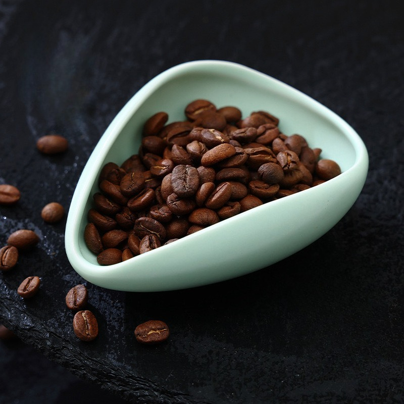 Plato multicolor para granos d - Home Bar Cafe reseña y precio